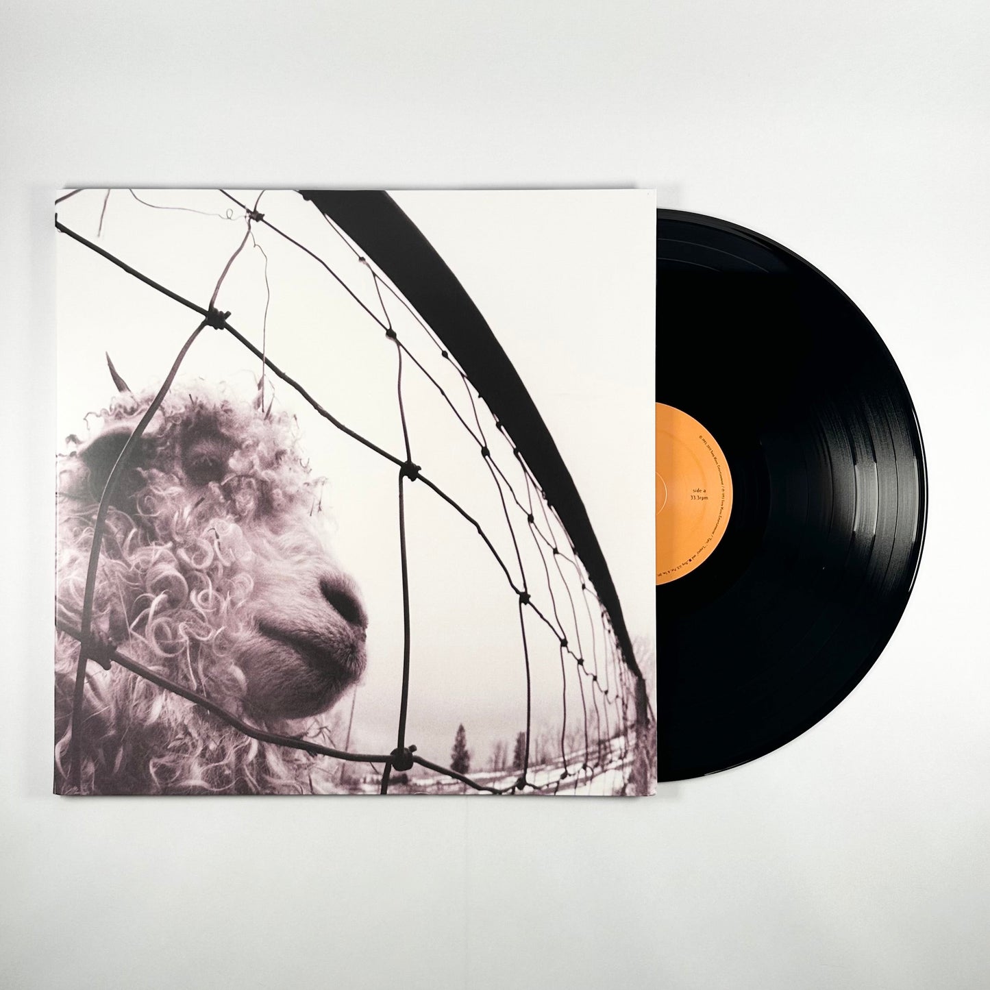 Pearl Jam: Grunge Icons