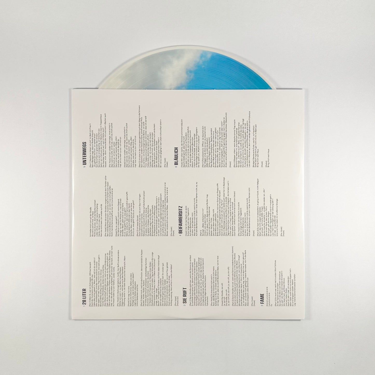 Treppenhaus (Limited Edition) (Picture Disc)
