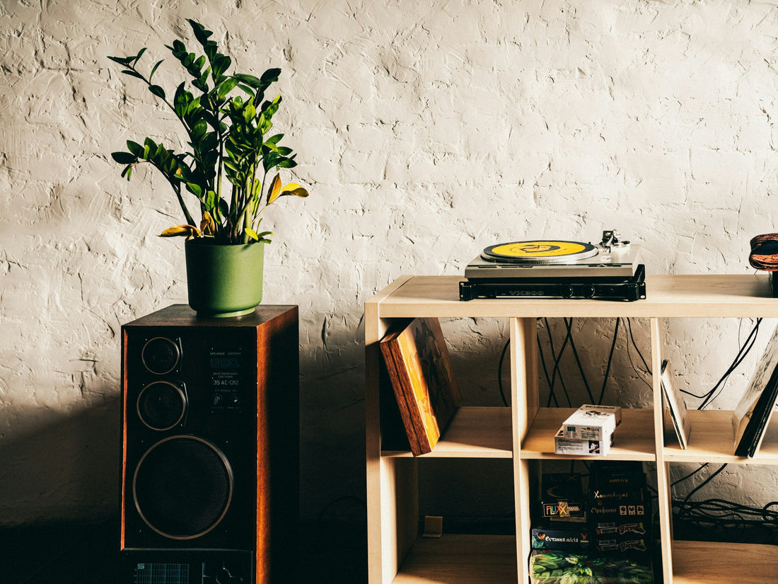 Die „Vibe“-Checklist: 5 moderne Vinyl-Must-haves für dein Zimmer