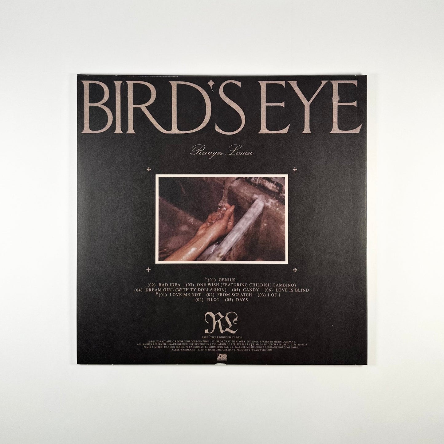 Bird's Eye (Marble Coloured Vinyl)