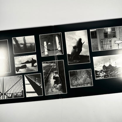 Animals (remastered)(180g)