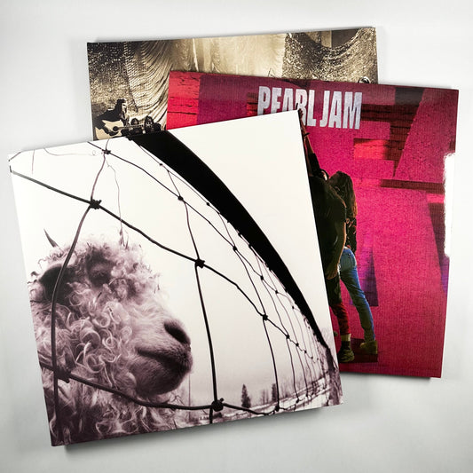 Pearl Jam: Grunge Icons