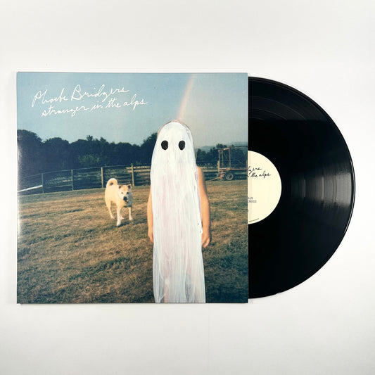 Stranger In The Alps