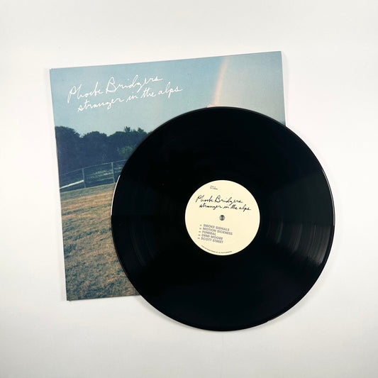 Stranger In The Alps