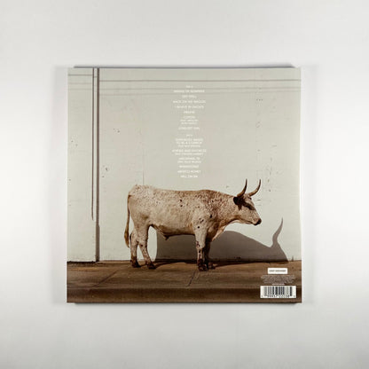 Middle Of Nowhere (Limited Retail Exclusive Edition) (Rodeo Clown Mix Vinyl)