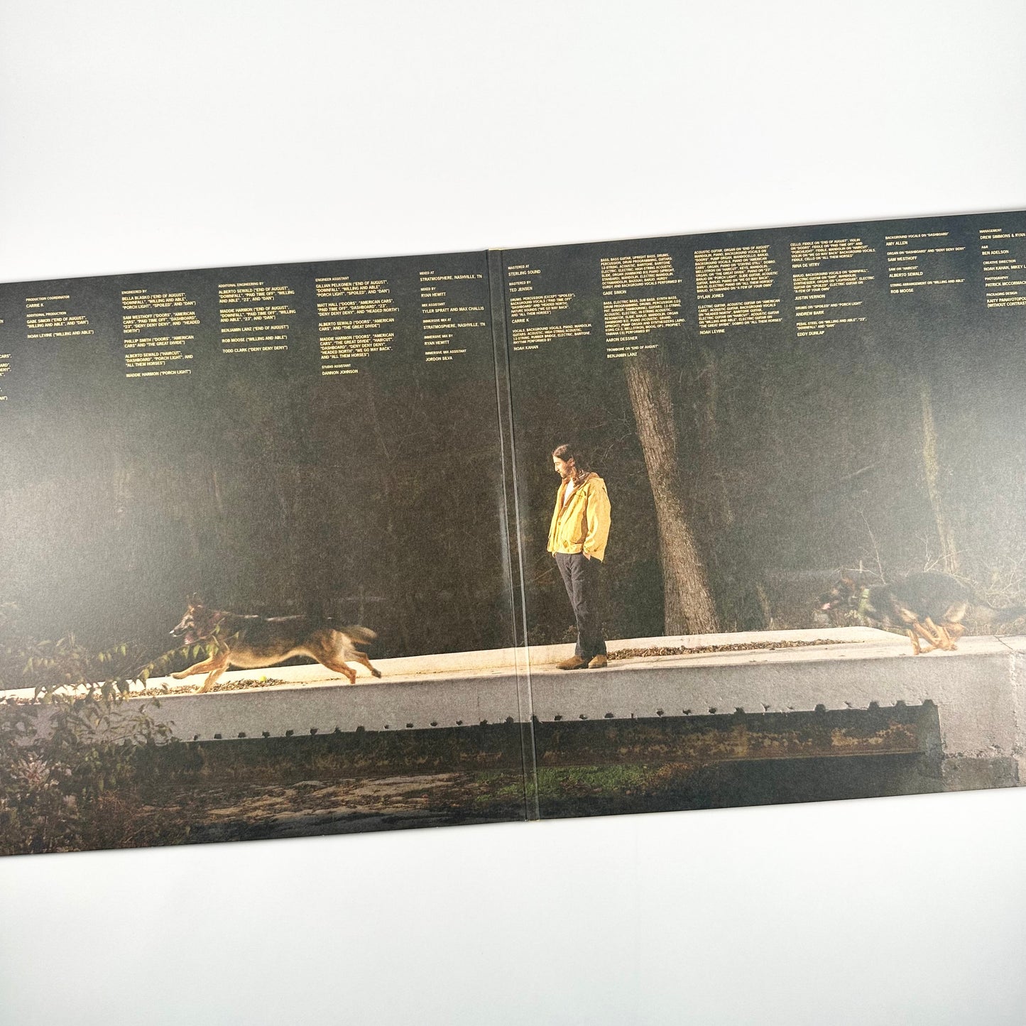 The Great Divide (American Rust Vinyl)