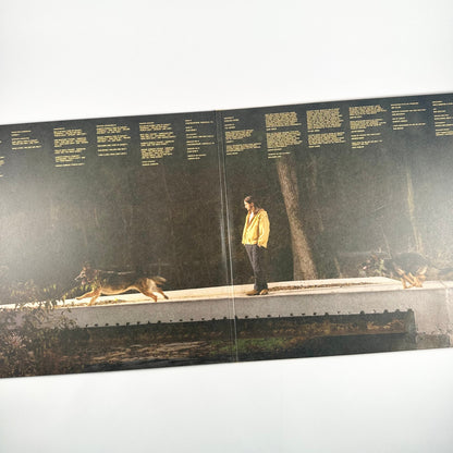 The Great Divide (American Rust Vinyl)